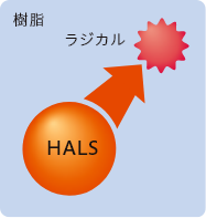 ラジカルを捕捉する「HALS」※