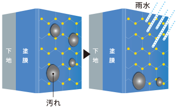 親水性