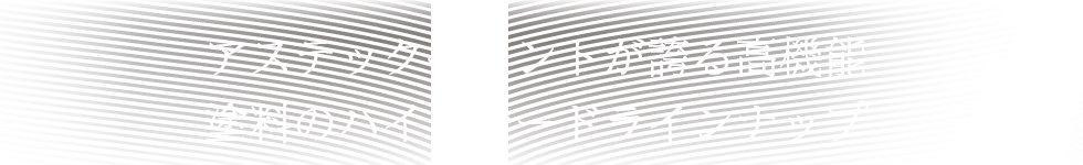 アステックペイントが誇る⾼機能塗料のハイグレードラインナップ